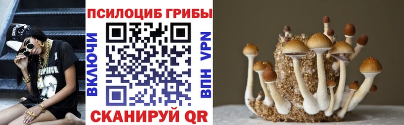 где купить наркоту  Пыть-Ях  Галлюциногенные грибы мухоморы 